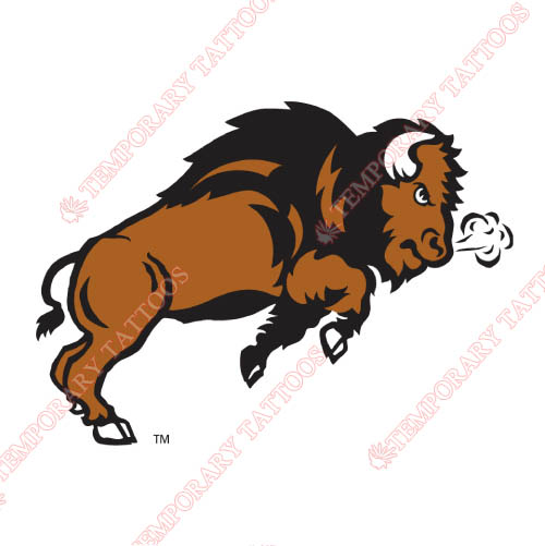 North Dakota State Bison Customize Temporary Tattoos Stickers NO.5602